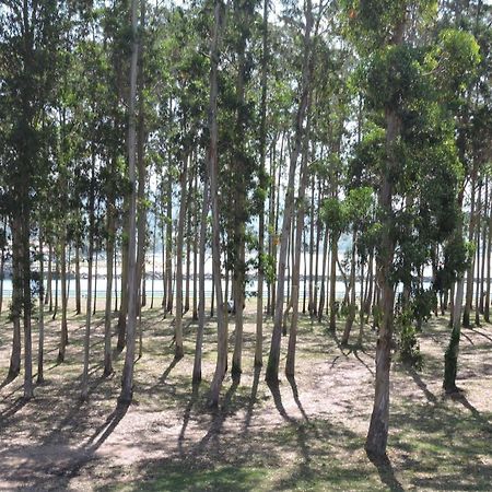 Apartamento Pie De Playa, El Puntal-Villaviciosa 比利亚维西奥萨 外观 照片
